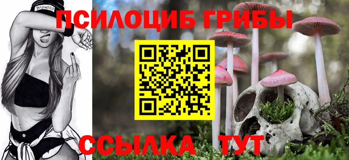 Псилоцибиновые грибы MAGIC MUSHROOMS Ивантеевка