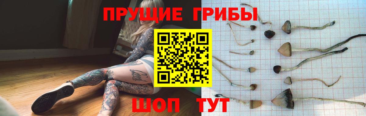Псилоцибиновые грибы Psilocybine cubensis  Псилоцибиновые грибы Cubensis  Вход с VPN  Ивантеевка 